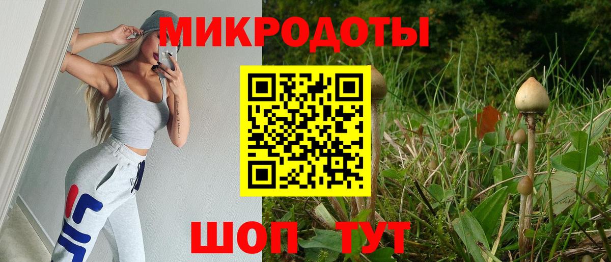 Псилоцибиновые грибы мицелий Химки